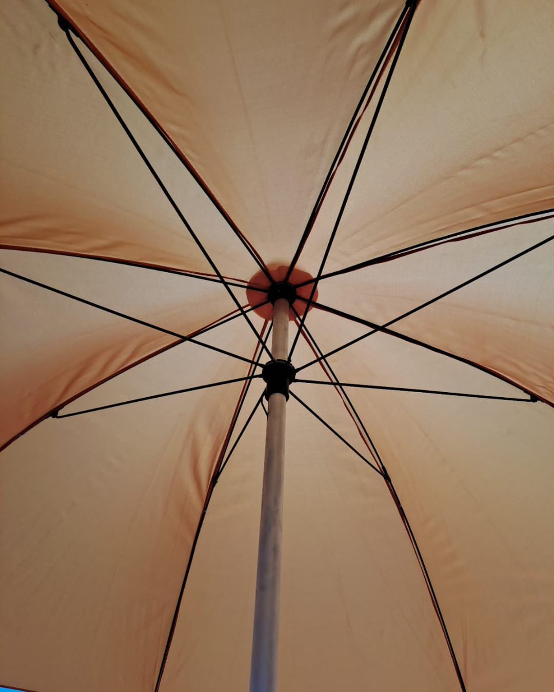 Guarda-chuva - imagem 3